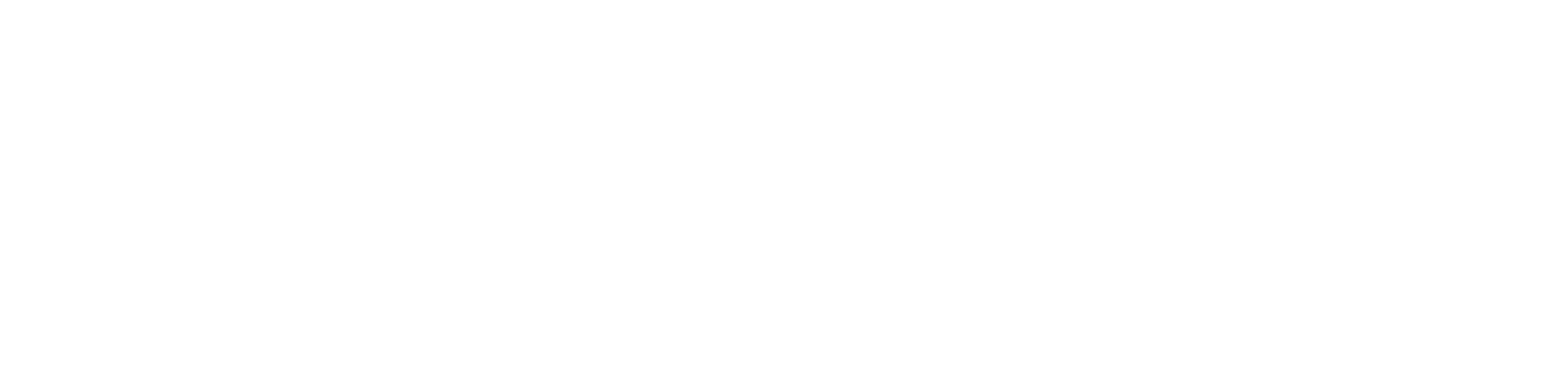 AntonDynamics